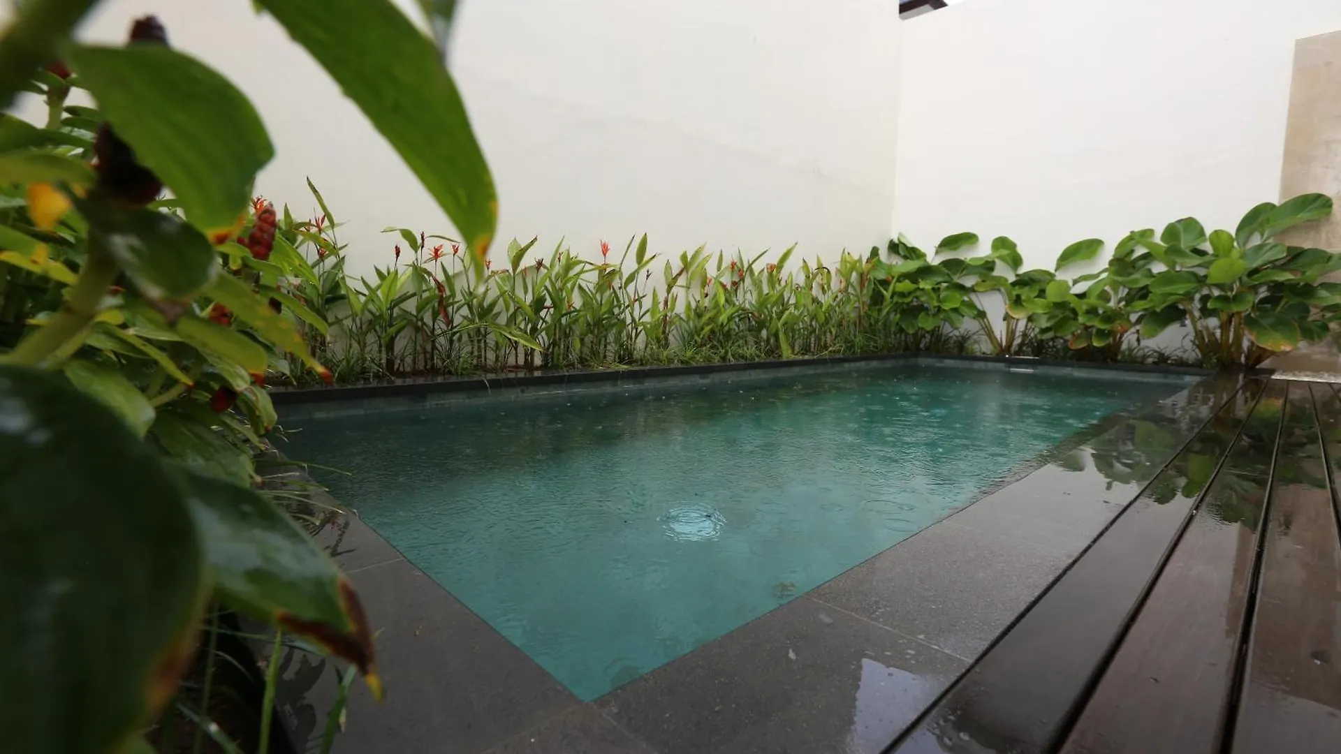Rivera Villa Seminyak